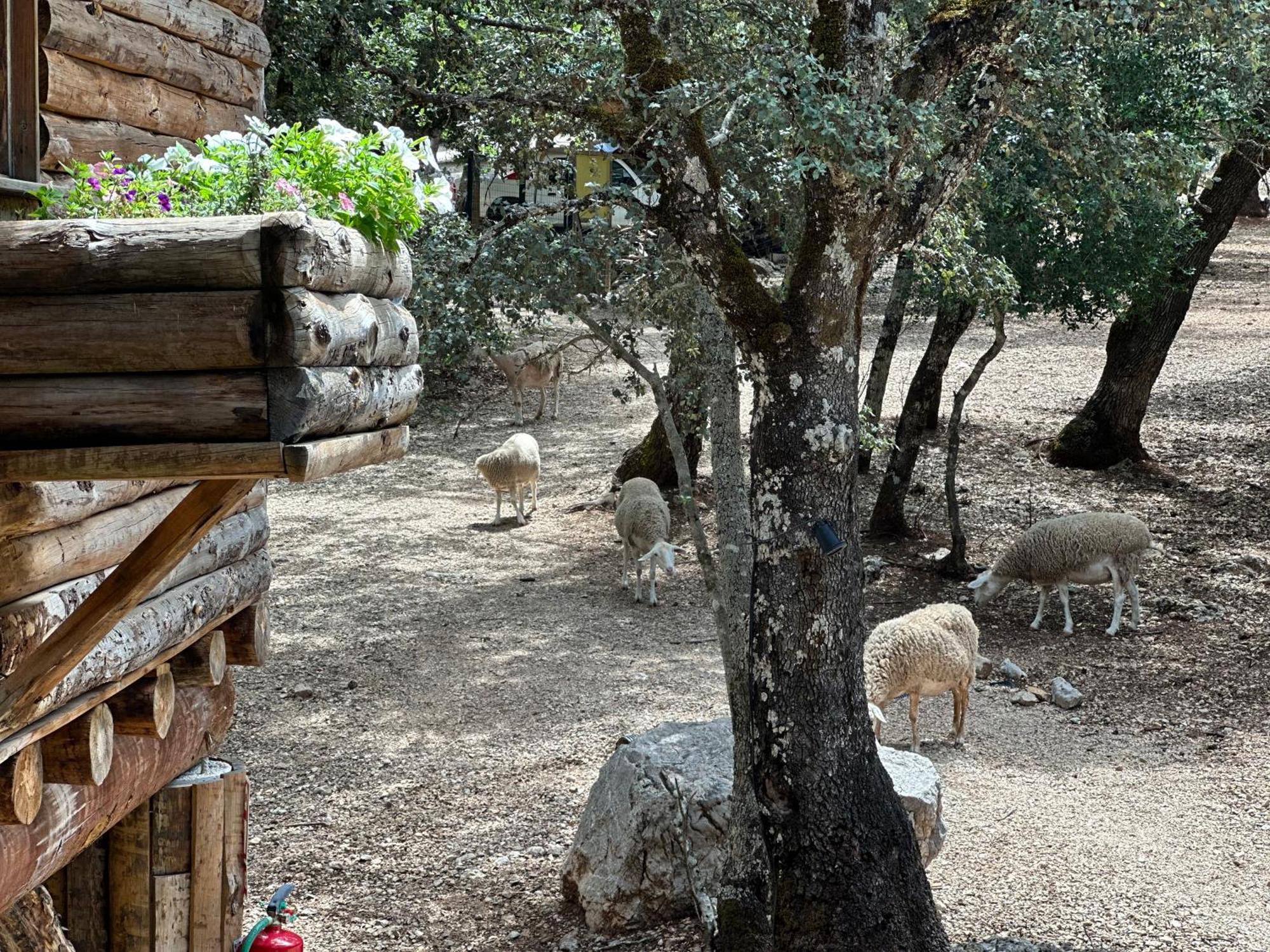 Hotel Rural Convento Santa Maria De La Sierra Арройо-Фрио Экстерьер фото